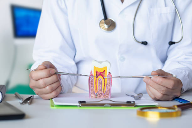 Best Emergency Root Canal Therapy in Lovelock, NV